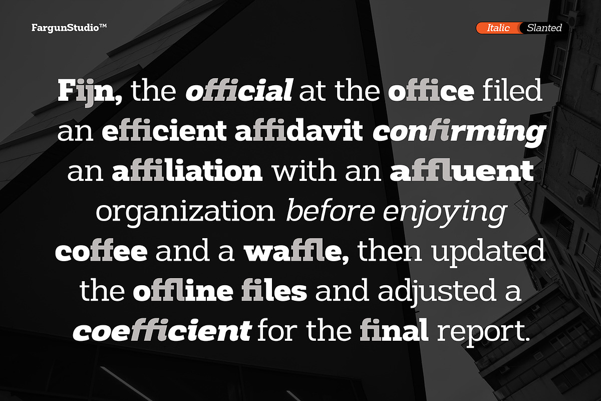 Montes Slab Family, a Slab Serif Font by Fargun Studio (Photo 10 of 15)