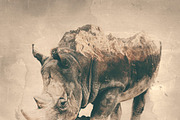 Double Exposure Photoshop Action, an Action Add-On by Sevenstyles (Thumbnail 18 of 21)