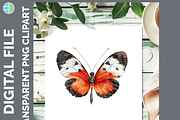 Butterfly Illustration Bundle 25 PNG, an Animal Illustration by Enliven Designs (Thumbnail 7 of 8)