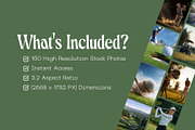 150 Professional Golf Stock Photos, a Sports & Recreation Photo by Incomelion (Thumbnail 4 of 9)