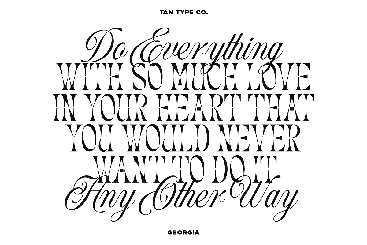 TAN - GEORGIA, a Serif Font by TanType (Photo 6 of 8)