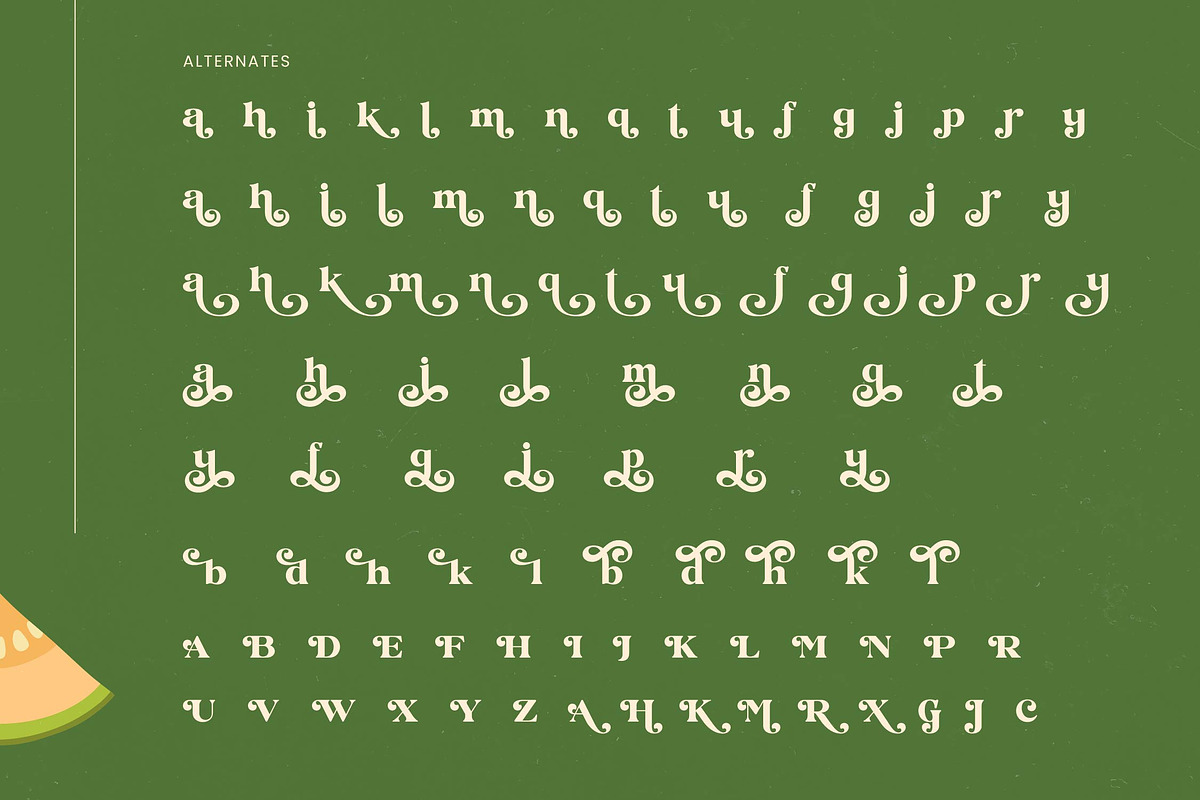 Jungle Melon Groovy Display Serif, a Serif Font by timelesstype.co (Photo 19 of 20)