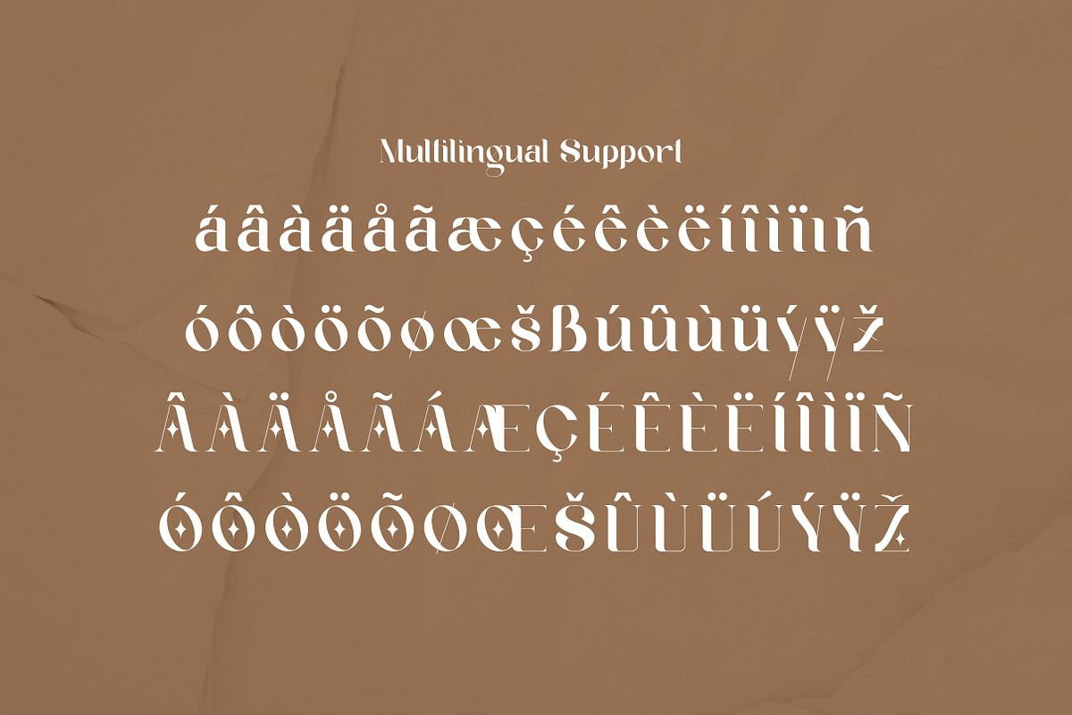 Geyster Modern/Vintage Font, a Serif Font by Lettertype Studio (Photo 8 of 10)
