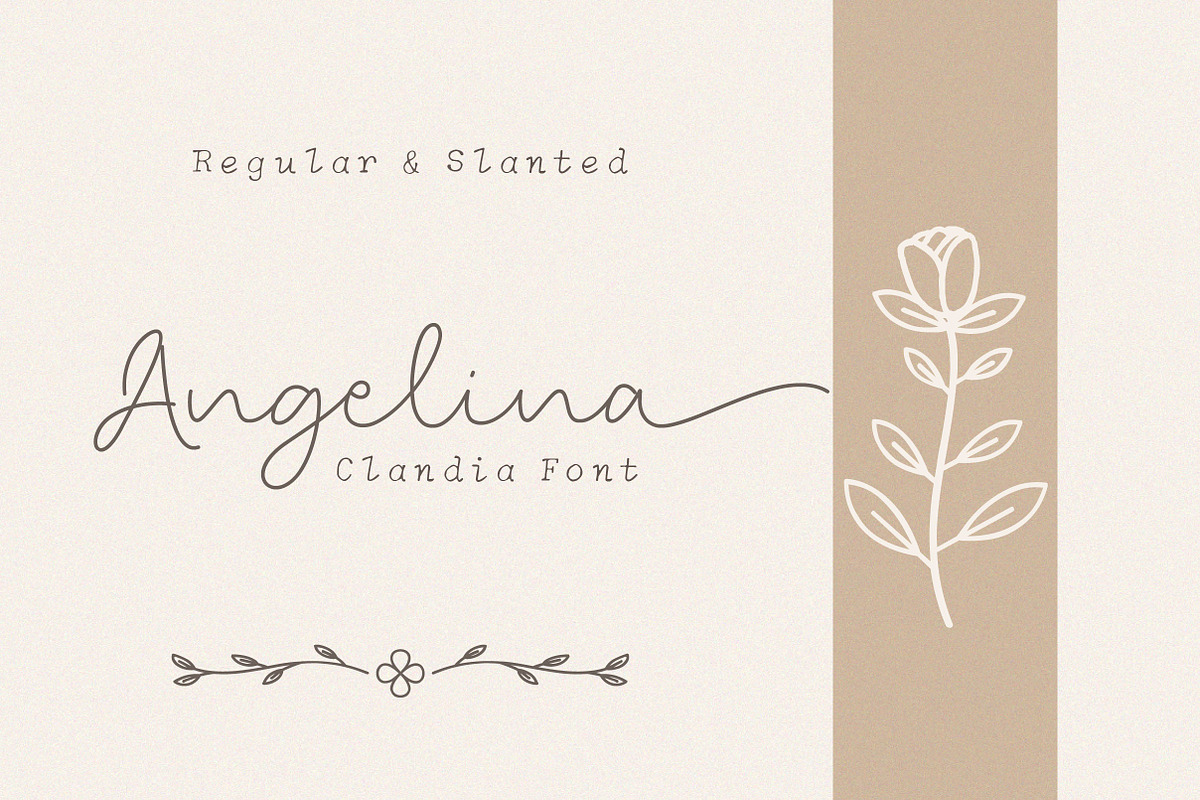 Clandia Monoline Script & Ornaments, a Script Font by Typebae (Photo 4 of 12)