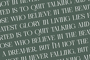 Barely Painter Elegant Serif Font, a Serif Font by timelesstype.co (Thumbnail 17 of 20)