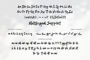 The Old Falcons Font, a Script Font by Allouse Studio (Thumbnail 5 of 11)