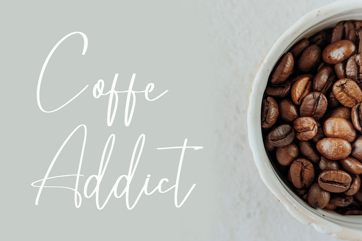 Willentia - Elegant Script Font, a Script Font by NTC Graphic (Photo 3 of 9)