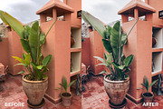 Blush & White Lightroom Presets, an Action Add-On by in between details (Thumbnail 13 of 38)