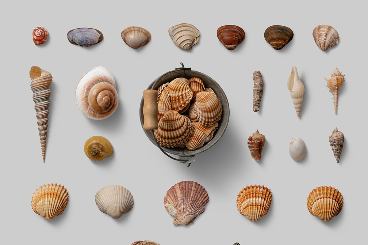Nature Scene Generator, a Product Mockup by h3design (Photo 13 of 19)