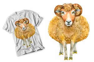 Sheep Watercolor