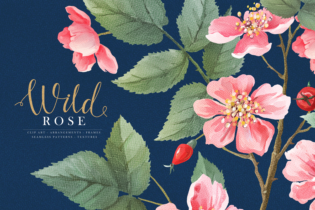 Watercolor Wild Rose, a Decorative Illustration by Nataleana