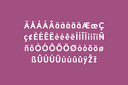 Vintage Groove Bold Family Font, a Sans Serif Font by UICreative (Thumbnail 3 of 13)
