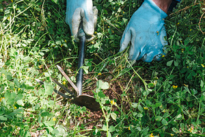 man using a tool to remove weeds from farmland, a Photo by Nito