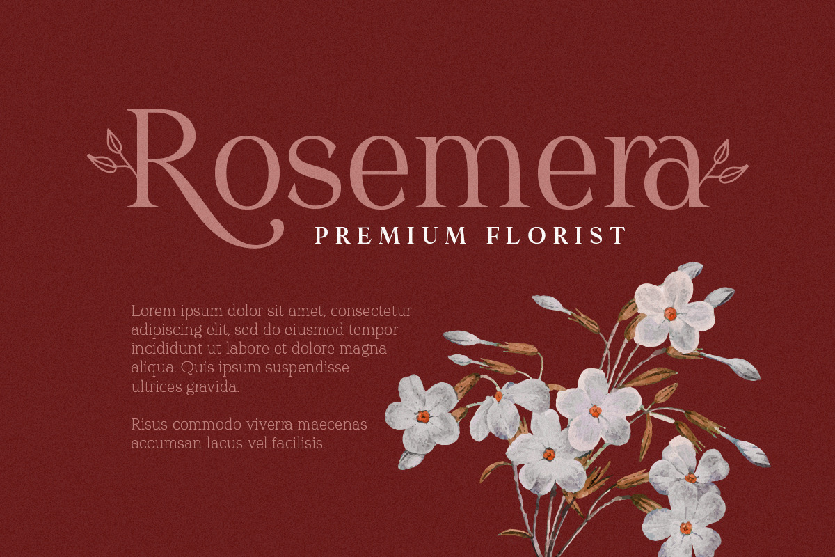 Redrains - Modern Serif Family, a Serif Font by Sarid Ezra (Photo 4 of 9)