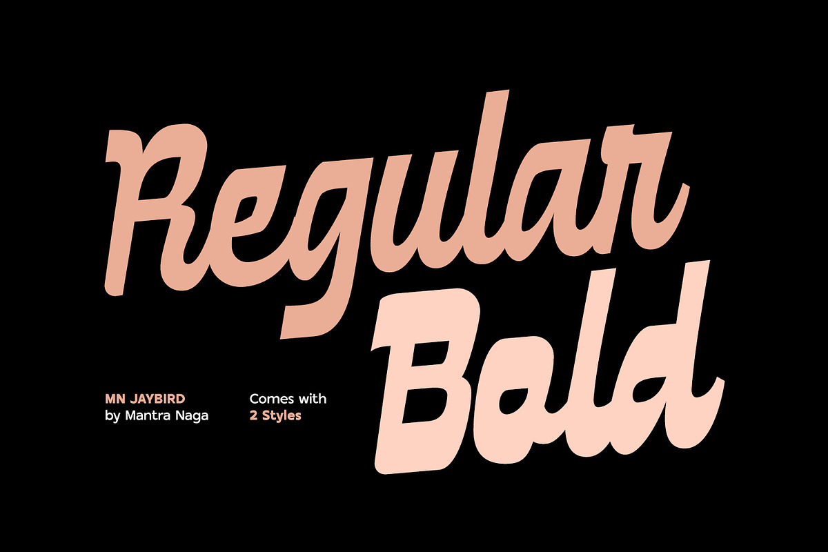 MN Jaybird - Bold Retro Script Font, a Script Font by Mantra Naga (Photo 10 of 18)