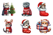 Christmas Scottish Cat Clipart PNG, an Illustration by SinaCreation (Thumbnail 5 of 7)