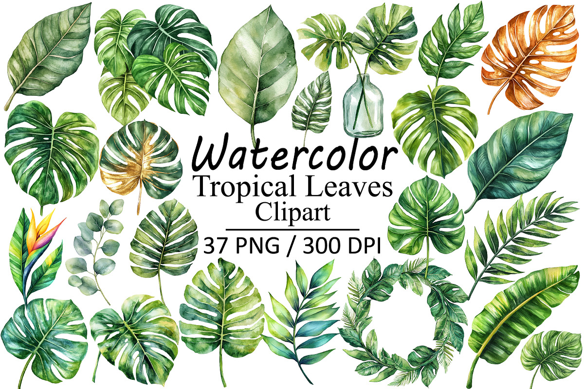 Watercolor Tropical Leaves Clipart, an Illustration by Design Market (Photo 1 of 3)