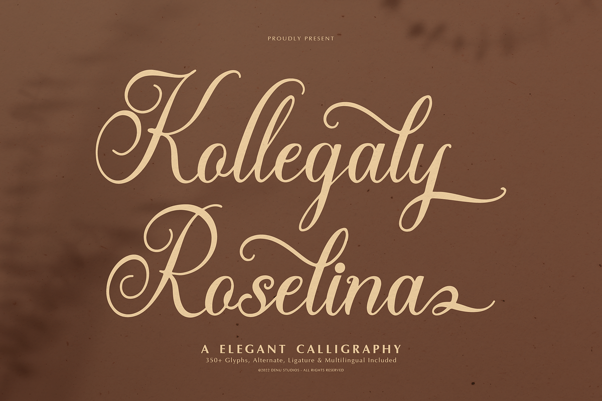 Kollegaly Rosalina Calligraphy Font, a Script Font by Denustudios (Photo 1 of 12)