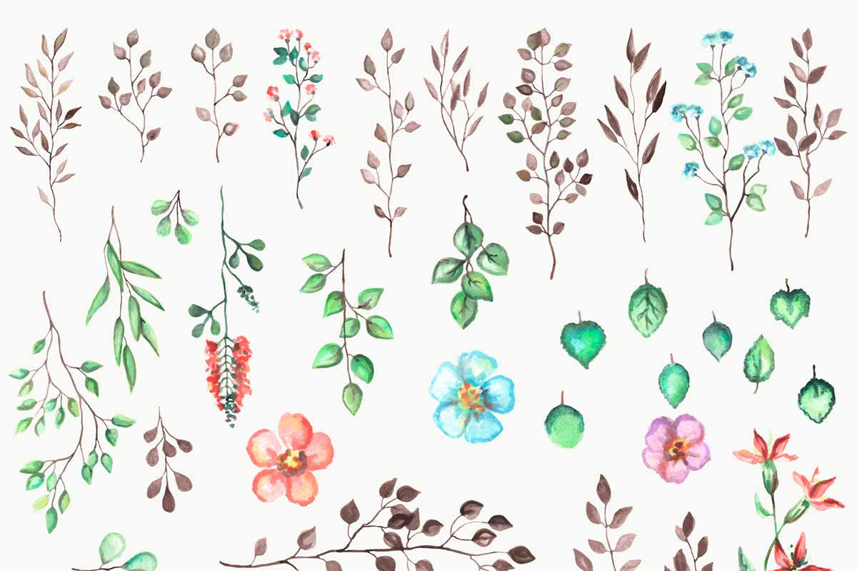 Watercolor nature set, a Decorative Illustration by ARSCOR (Photo 2 of 4)