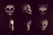 Skull Brushes, a Brush Add-On by RuleByArt (Thumbnail 9 of 10)