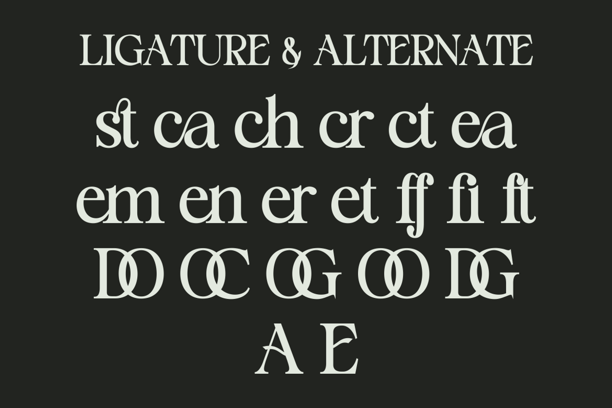 Staller - A Modern Beauty Font, a Serif Font by Marvadesign (Photo 7 of 7)