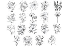 Floral Flower Set 12 Procreate Brush