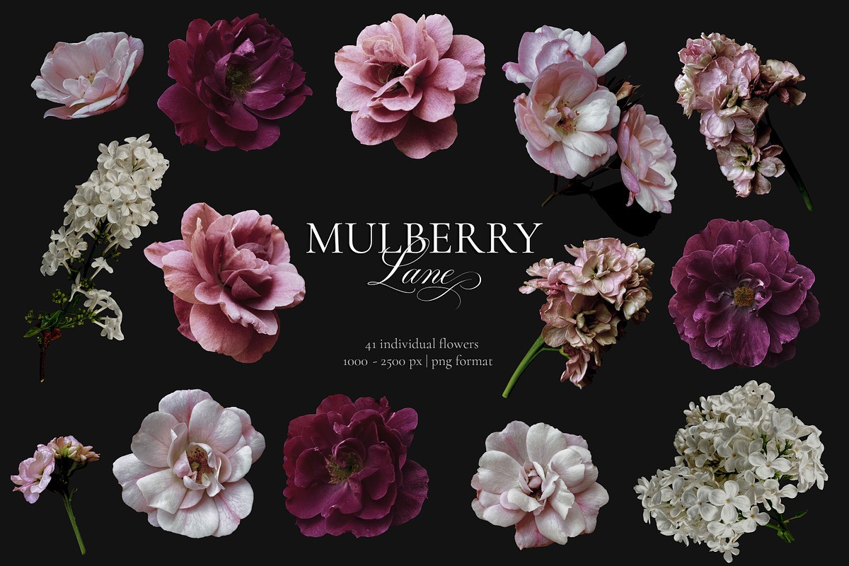 Mulberry Floral Clip Art Pattern Kit, an Object Graphic by Eclectic Anthology (Photo 15 of 17)
