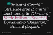 TT Norms Pro Serif, a Serif Font by TypeType (Thumbnail 10 of 15)