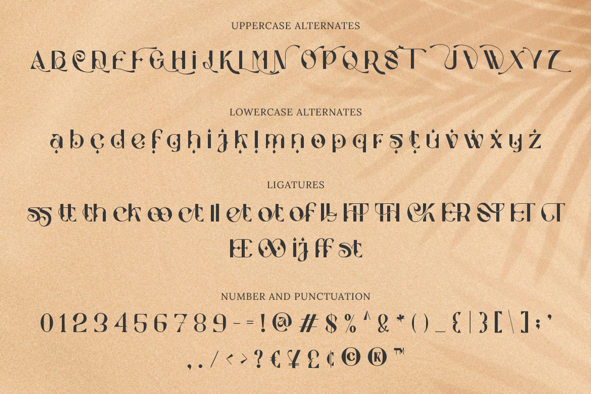 Stockhoolm Medieval Serif, a Serif Font by Creatype Studio (Photo 6 of 10)