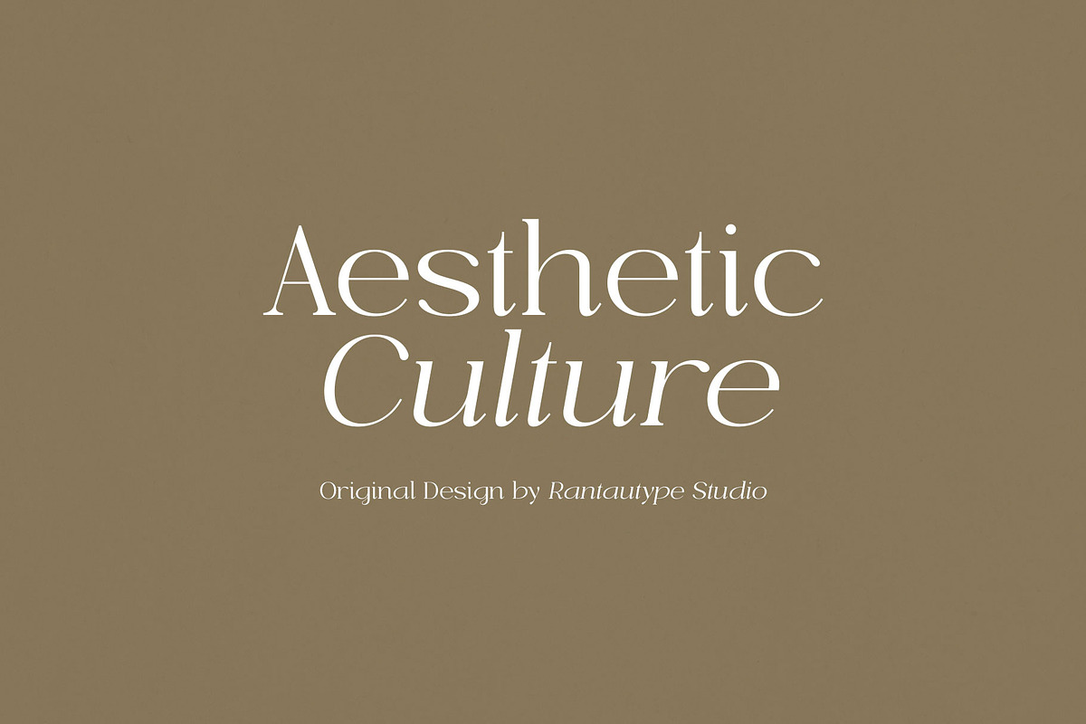 Morelga Modern Serif Font, a Serif Font by RantautypeStudio (Photo 3 of 17)