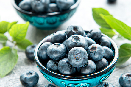 Freshly picked blueberries, a Food & Drink Photo by Olena Rudo