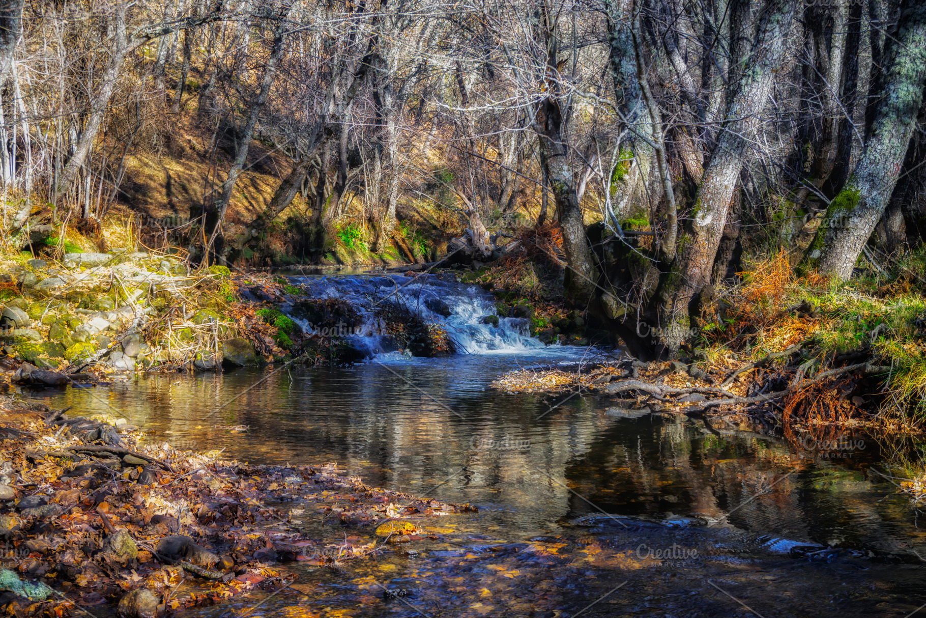 Wild River Landscape. Sanabria,Spain, a Nature Photo by Shootdiem