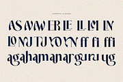 Averdyn, a Serif Font by zaaintype (Thumbnail 9 of 10)