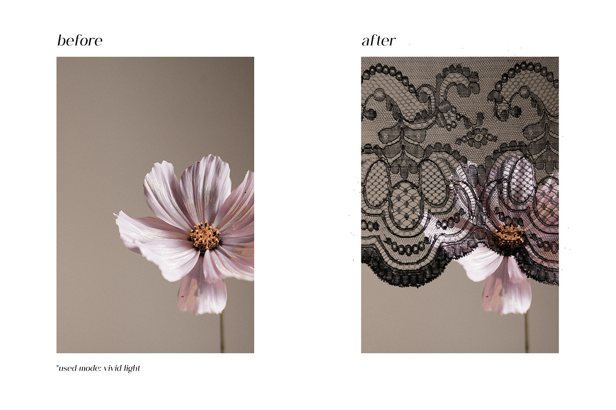 Black Lace Pieces Overlays, a Texture Graphic by Kaleriia (Photo 6 of 9)