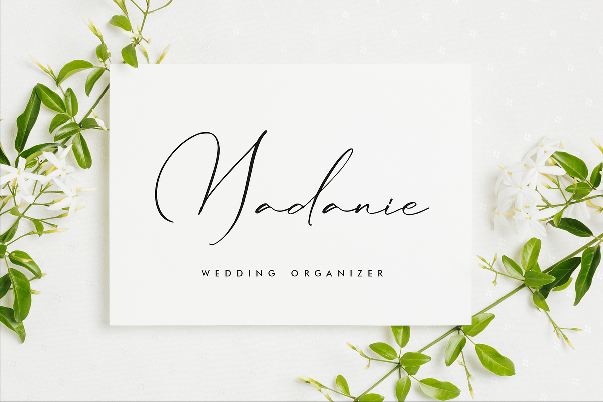 Lillywhite A Beautiful Script Font, a Script Font by Storytype Studio (Photo 10 of 15)
