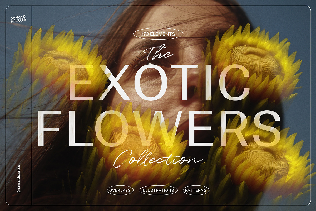 Illustration Bundle - 6580+ elements, a Texture Illustration by Nomad Visuals (Photo 7 of 32)