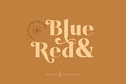 Mataö - Elegance Font Serif, a Font by Identy Studio (Thumbnail 3 of 24)