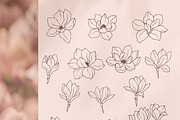 Hand drawn magnolia flowers set, an Object Illustration by RaDavCrafts (Thumbnail 2 of 8)