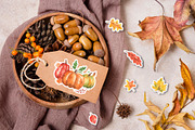 Autumn Stickers, a Seasonal Illustration by Anastasia Timosch (Thumbnail 4 of 5)