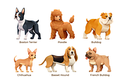 Dog Breeds Collection, an Animal Illustration by YG Studio (Thumbnail 2 of 5)