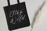 Saltngos Modern Calligraphy, a Script Font by Letterena Studios Script (Thumbnail 9 of 15)