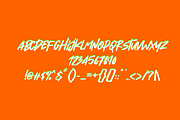 Amarilis Beauty | Modern Brush Font, a Font by Scandy Font (Thumbnail 4 of 5)