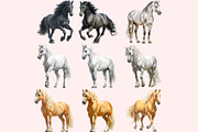 Horse Clipart PNG Bundle, a Graphic by M9 Design (Thumbnail 4 of 11)