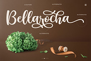 Reghina Marinka - Modern Script Font, a Script Font by Kotak Kuning Studio (Thumbnail 5 of 9)