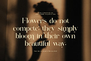 Andin Elegant Serif Font, a Serif Font by Perfectype (Thumbnail 3 of 8)
