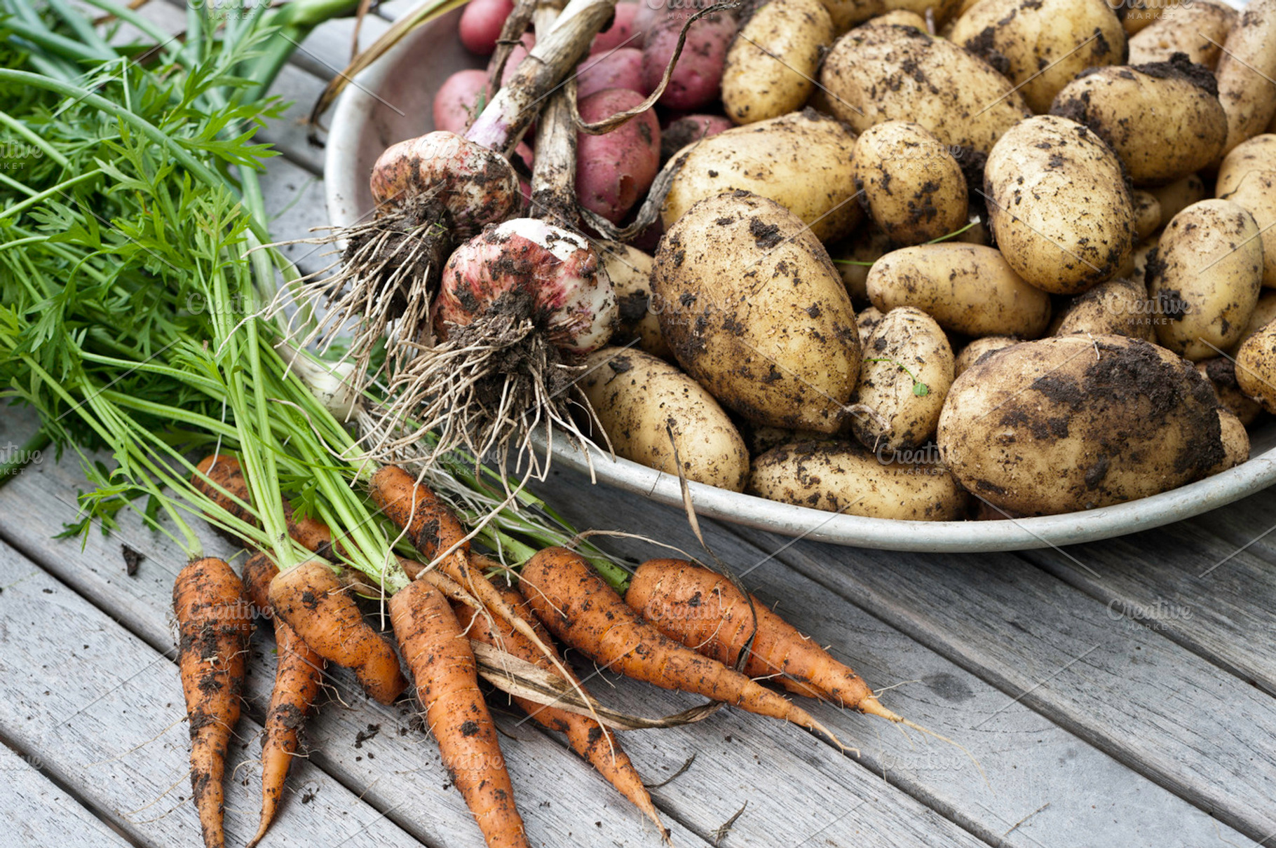 Root Vegetables Stock Photo Containing Vegetables And Root