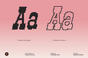 CS Ralphie Pixel, a Slab Serif Font by Craft Supply Co. (Thumbnail 4 of 8)