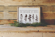 Northern Wilderness Collection: Tree, an Illustration by Barn Owl Studio (Thumbnail 5 of 6)