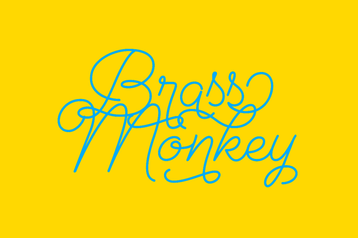 Cosmopolitan Script & Sans + Extras, a Script Font by Fenotype (Photo 11 of 12)