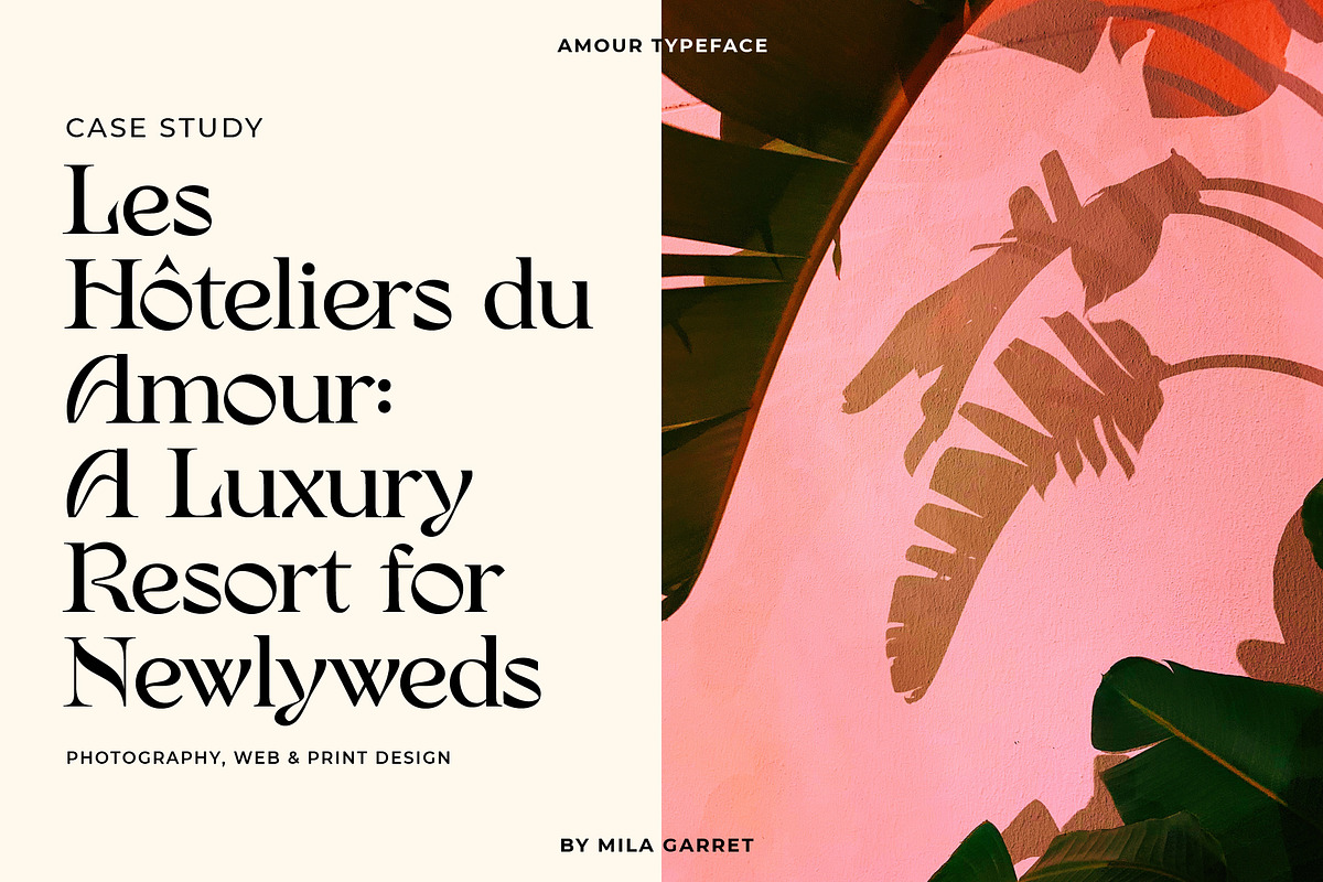 Amour Modern Display Logo Serif, a Sans Serif Font by Mila Garret (Photo 8 of 27)